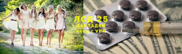 ПСИЛОЦИБИНОВЫЕ ГРИБЫ Нея