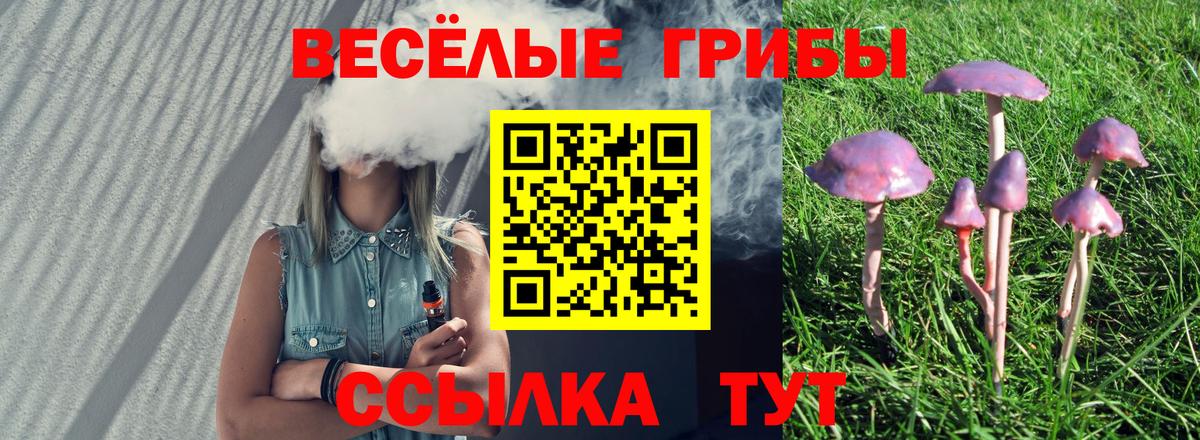 Галлюциногенные грибы мухоморы  Псилоцибиновые грибы Psilocybe  Ангарск 