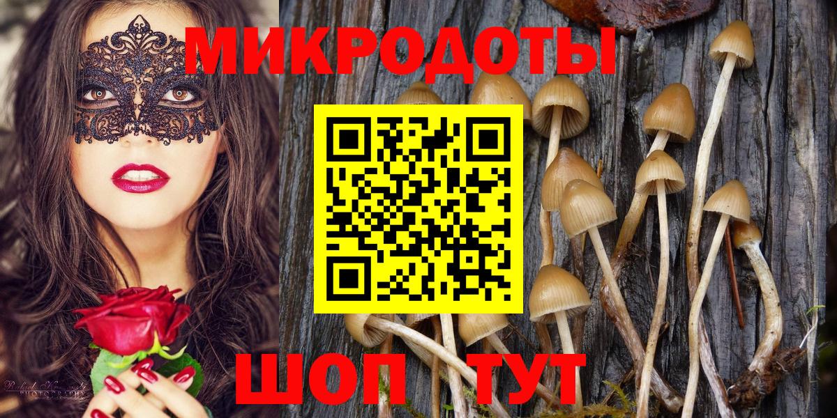 Галлюциногенные грибы Psilocybine cubensis  Вход с VPN  Ангарск 